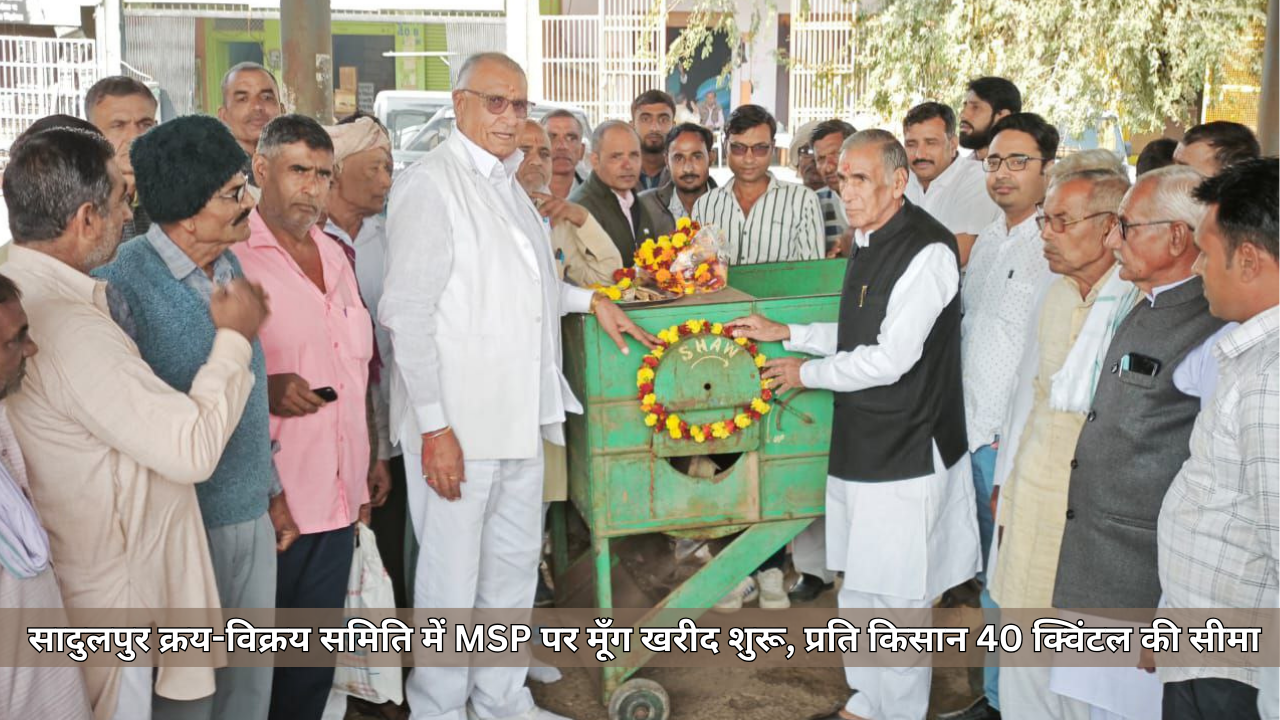 सादुलपुर क्रय-विक्रय समिति में MSP पर मूँग खरीद शुरू, प्रति किसान 40 क्विंटल की सीमा